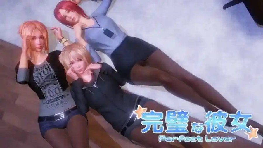 完美女友 完美女友游戏官网官方中文DLC说明 封面图